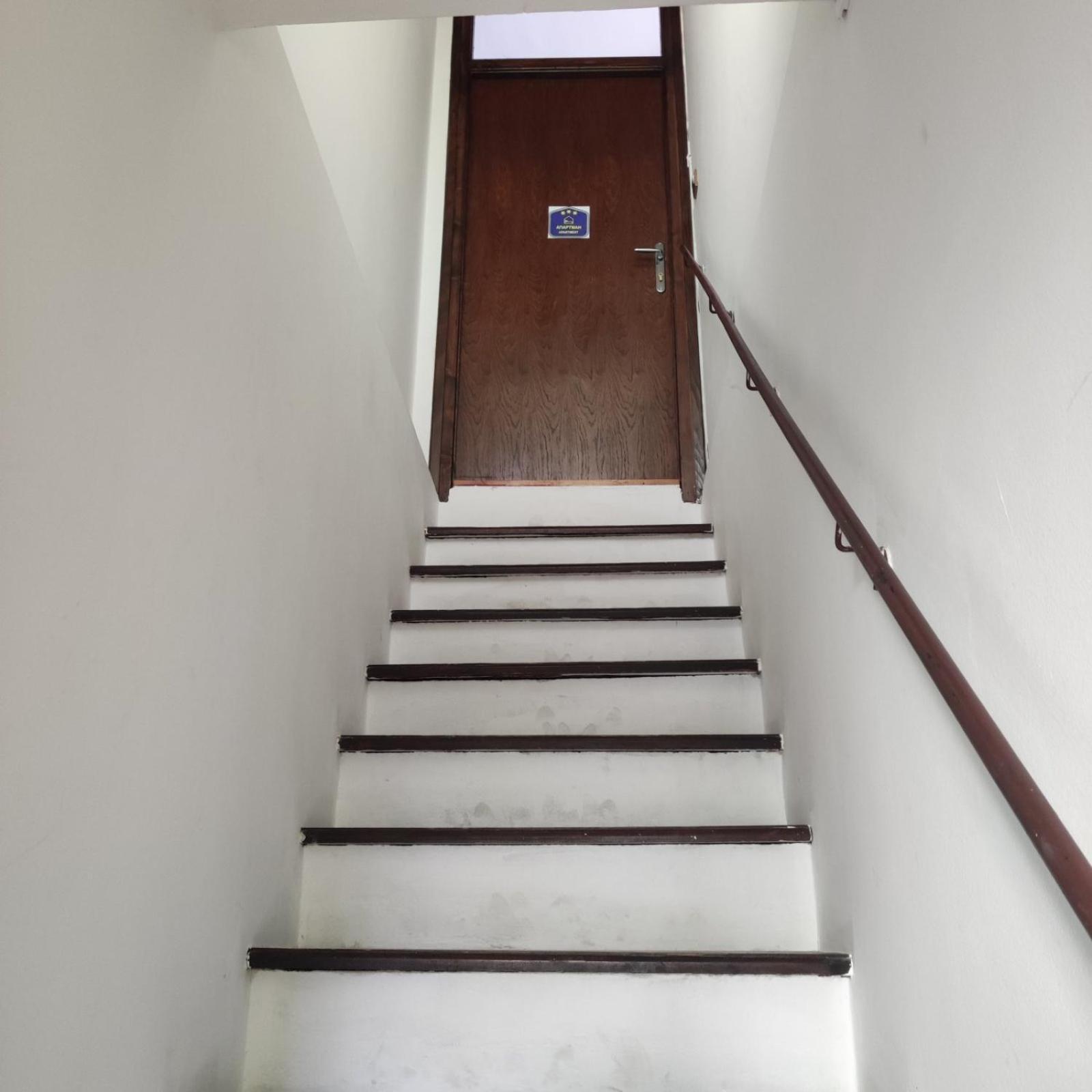 Red Tree Apartment Belgrade Exterior photo